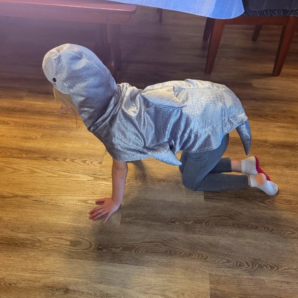 Shark Dog Halloween Costume